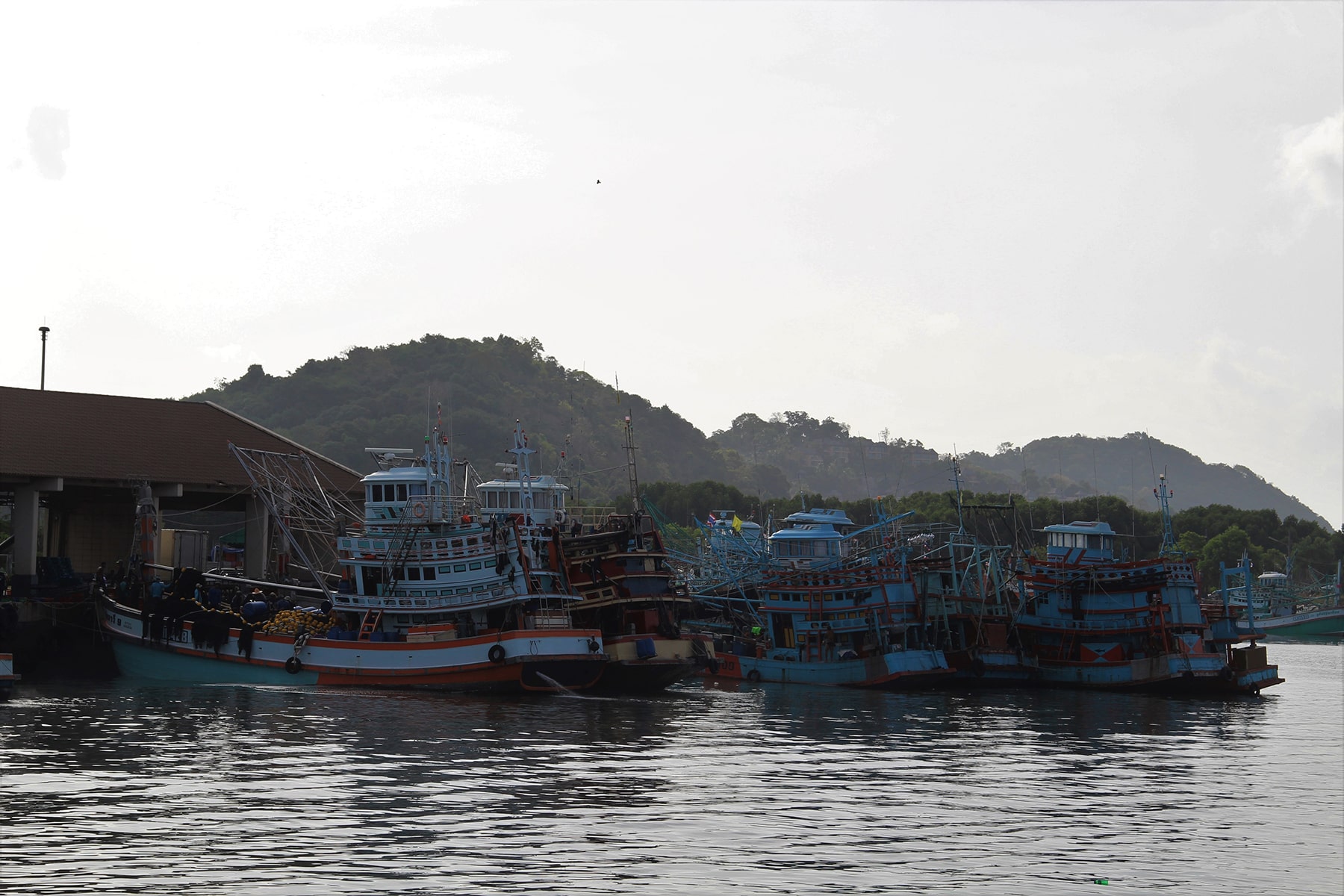 Bateaux dans le port de Phuket