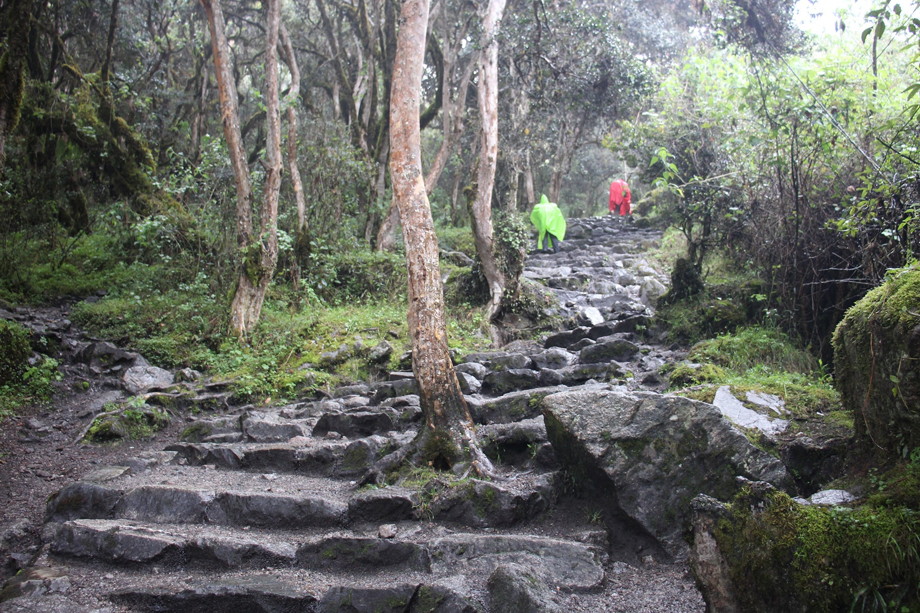 L’Inca Trail sotto la pioggia