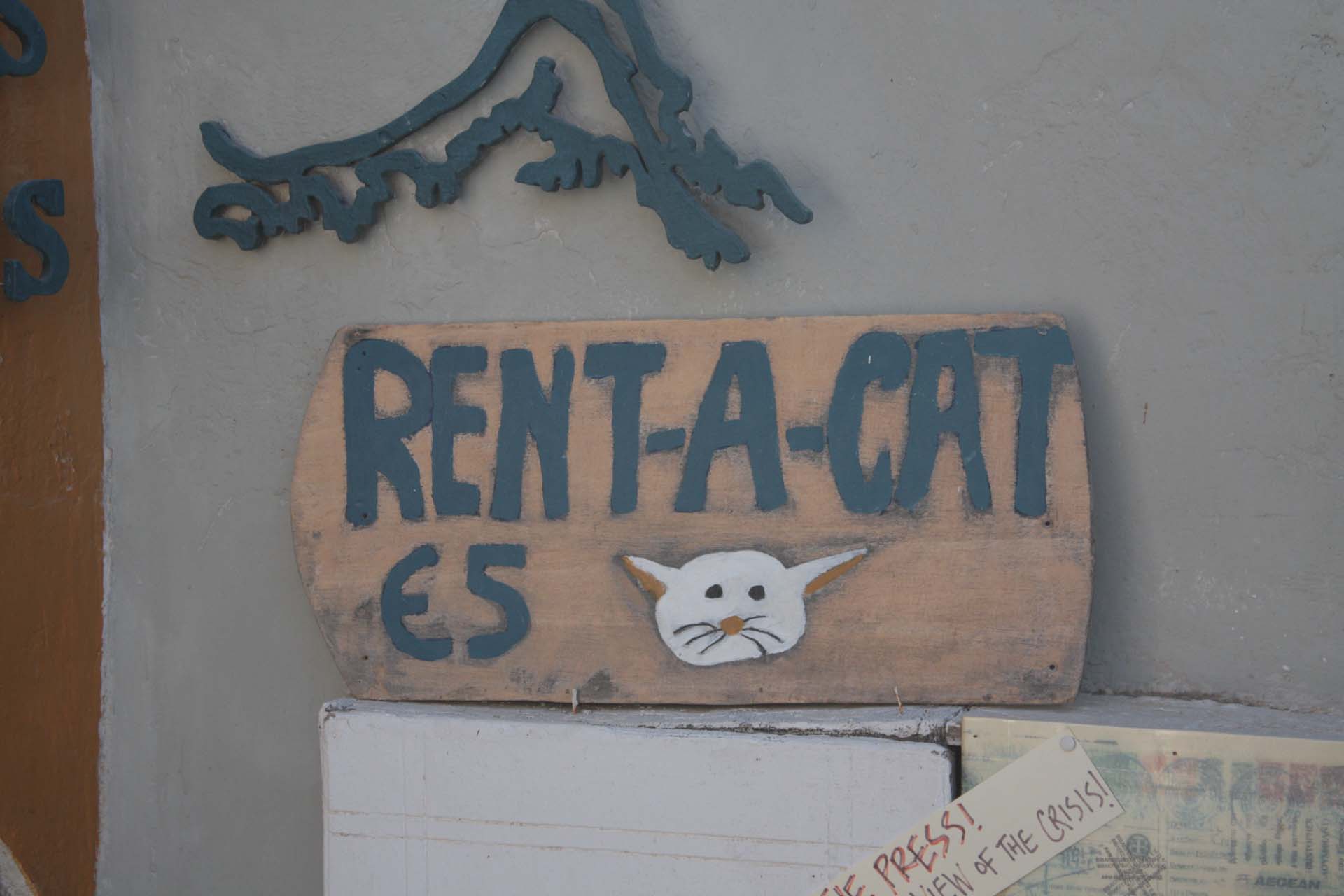 Pancarte "Louer un chat" devant la librairie "Atlantis Books" à Oia Santorin