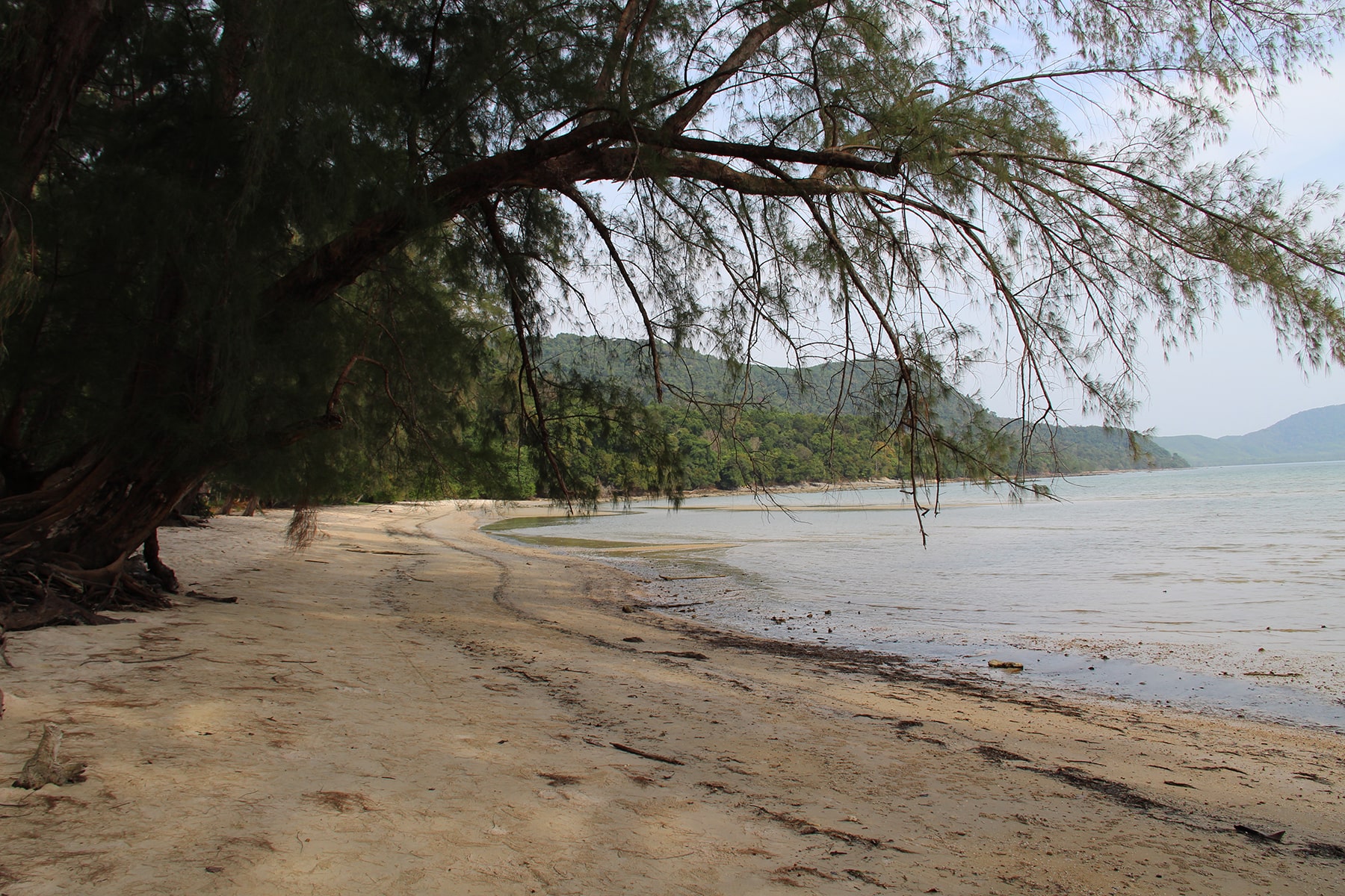 Khlong Son beach (Son Bay Beach) in Koh Yao Yai with trees