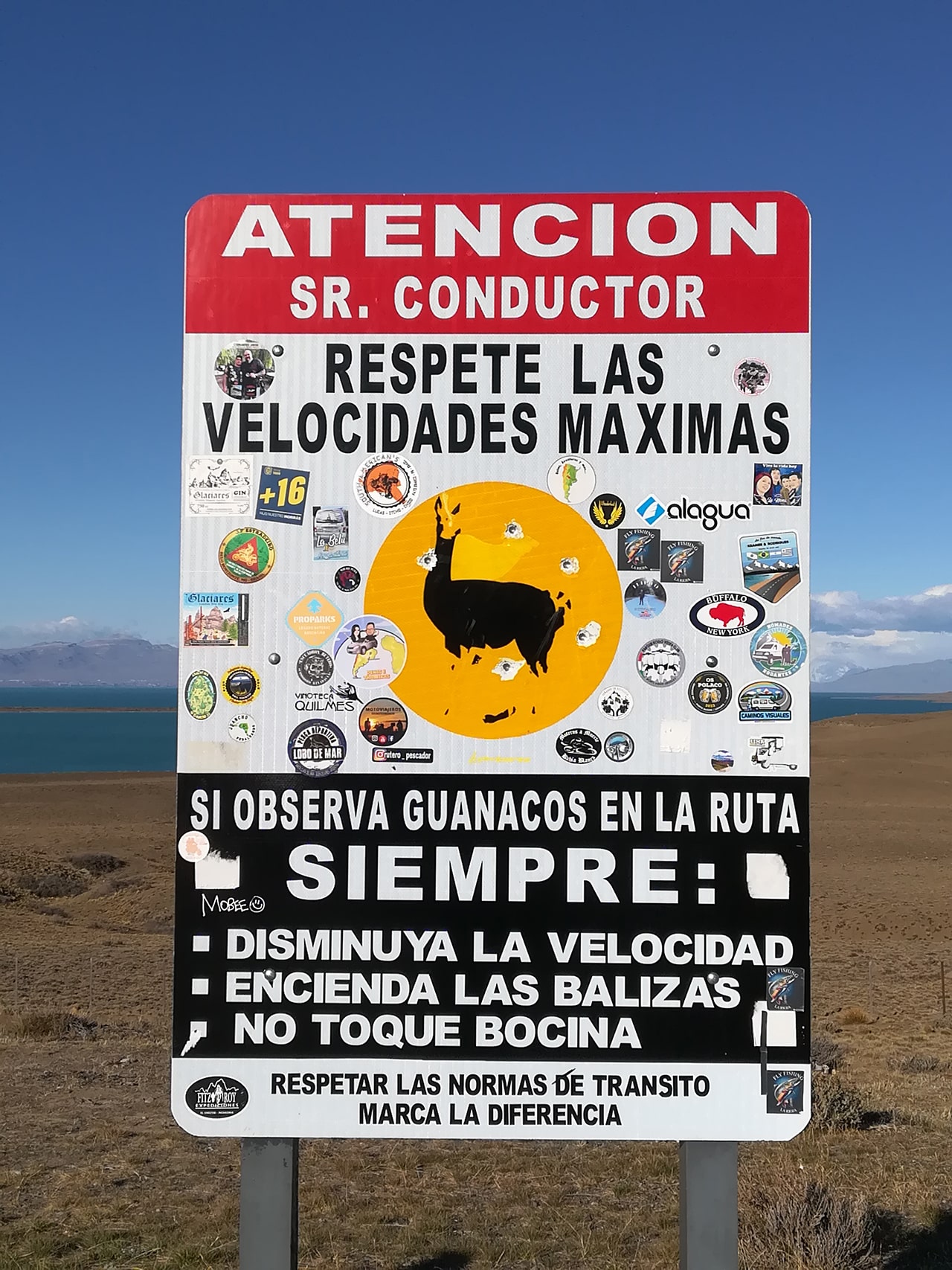 pancarte avertissant du danger guanaco sur les routes argentines
