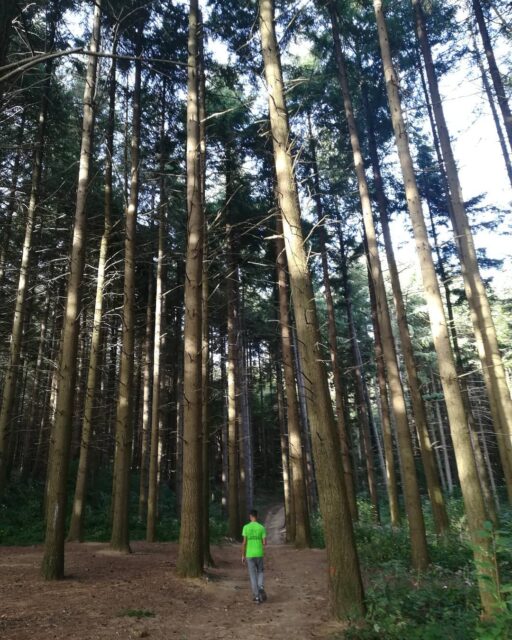 We are back on the road! 🐾 Autumn is the perfect season for hikes! Perfect weather, nice colours and crunchy leaves! 🍁