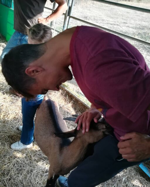 We discovered that goats are very cuddly ❤️ today we went to visit the goats at @azienda_agricola_apicorno_ You can adopt a goat for the winter and try their cheeses in the spring! 🐐