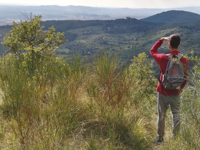Sunday hiking with Florence in the background!