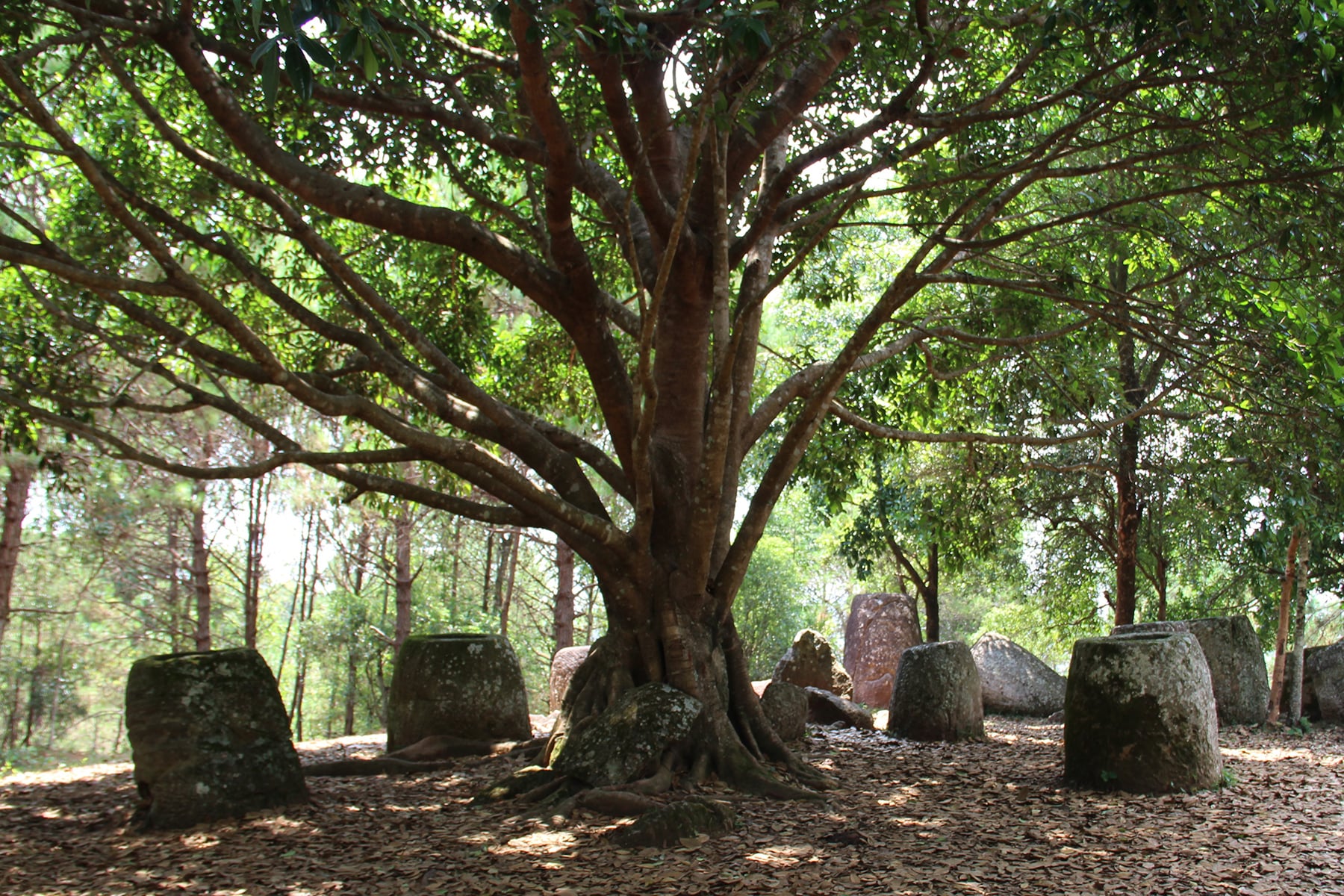 Site n°2 de la Plaine des Jarres de Phonsavan au Laos