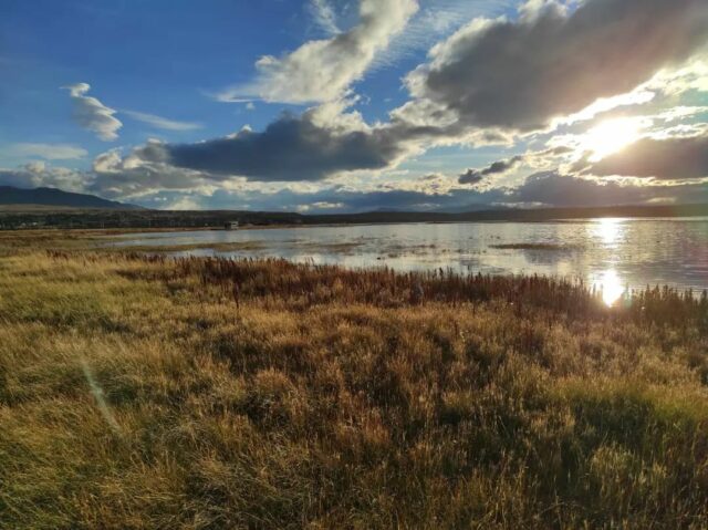 Laguna di Nimez. 🇦🇷