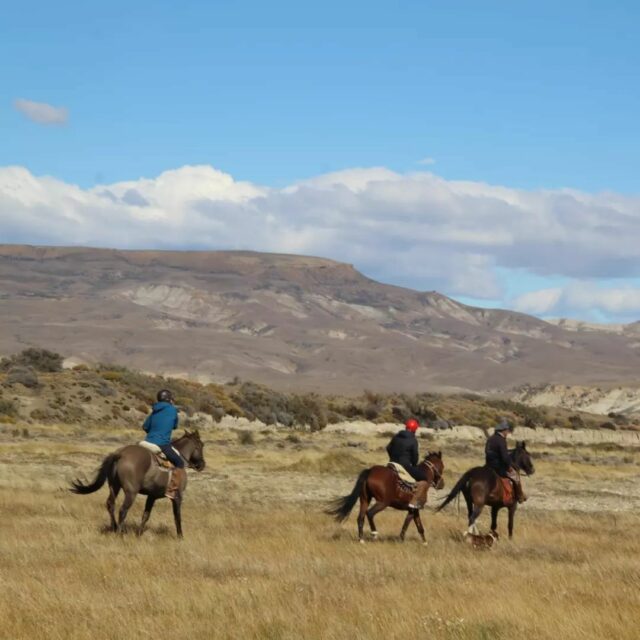 Horseback riding in the Patagonian steppes and on the banks of the Viedma lake. @laleonaylaestela