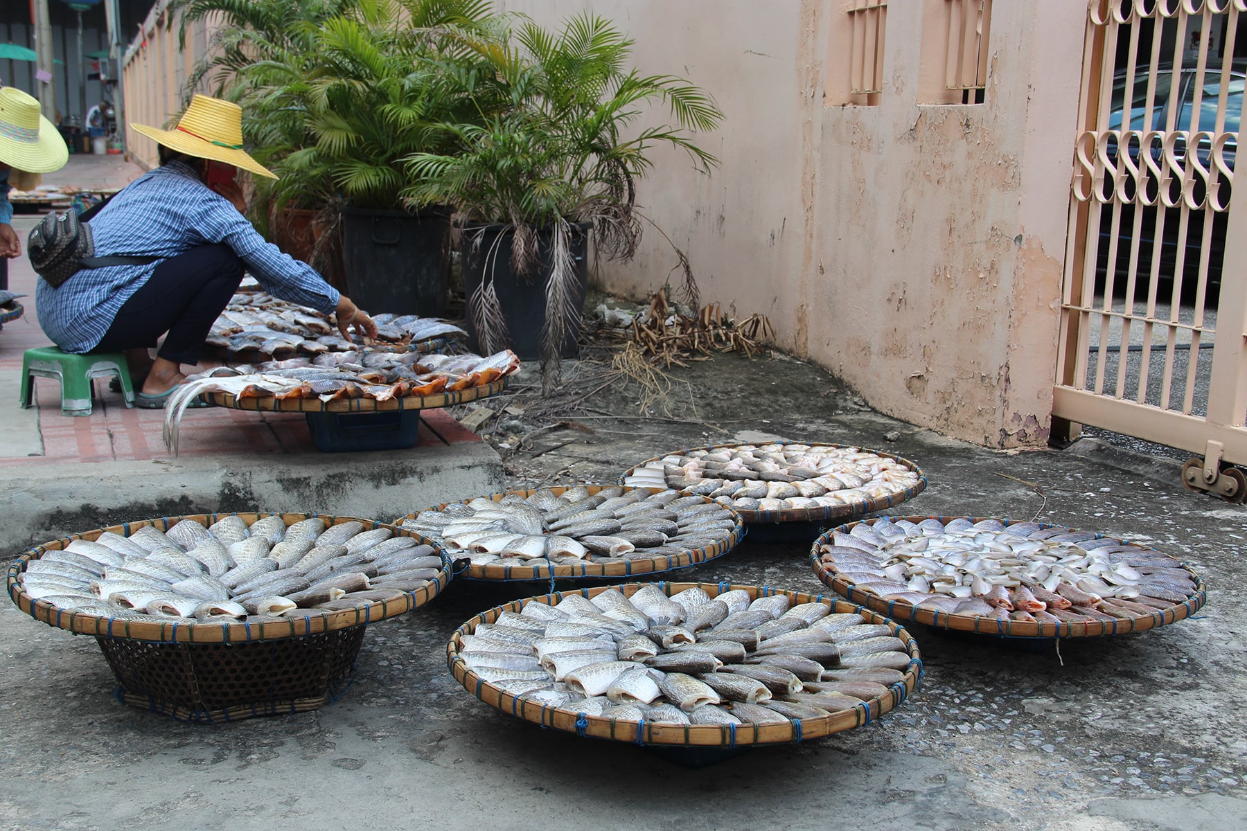 Marché de poisson à China Town sur le bord de la route