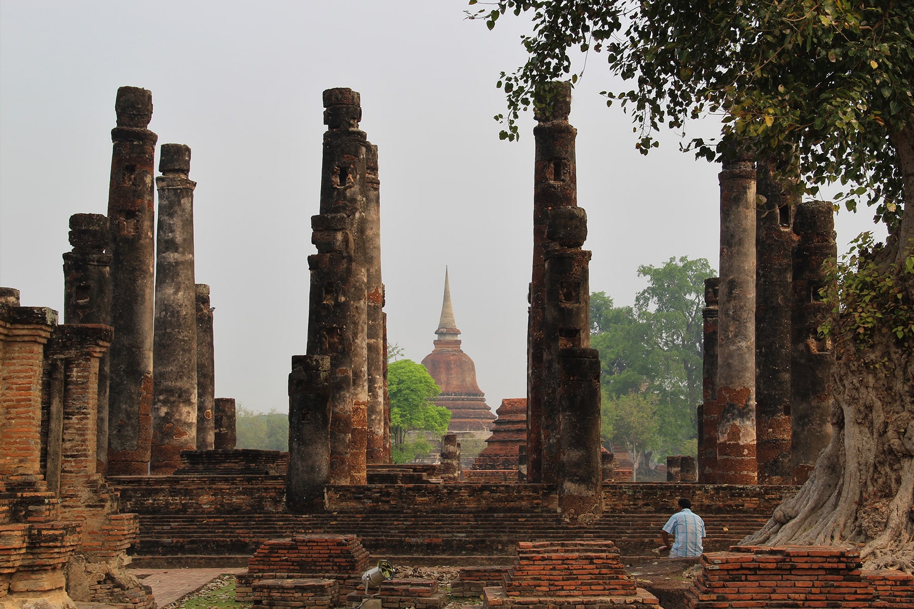 Man sitting in Old Sukhothai columns ruins beside a big tree