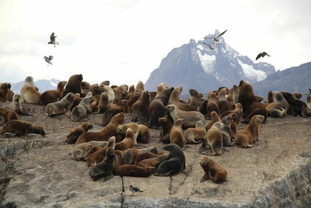 The pics of our Argentina trip are out on the blog! 📷 Go check them out! Link in bio 🐧