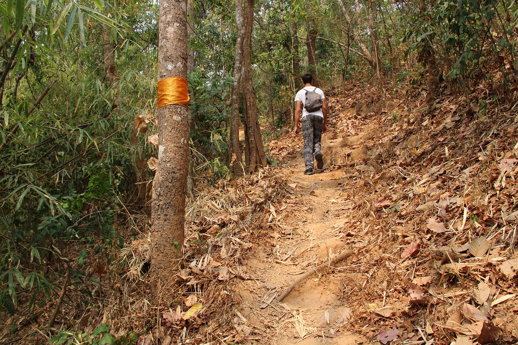 Homme suivant les tissus orange indiquant le "Sentier des moines" dans le parc national de Doi Suthep à Chiang Mai