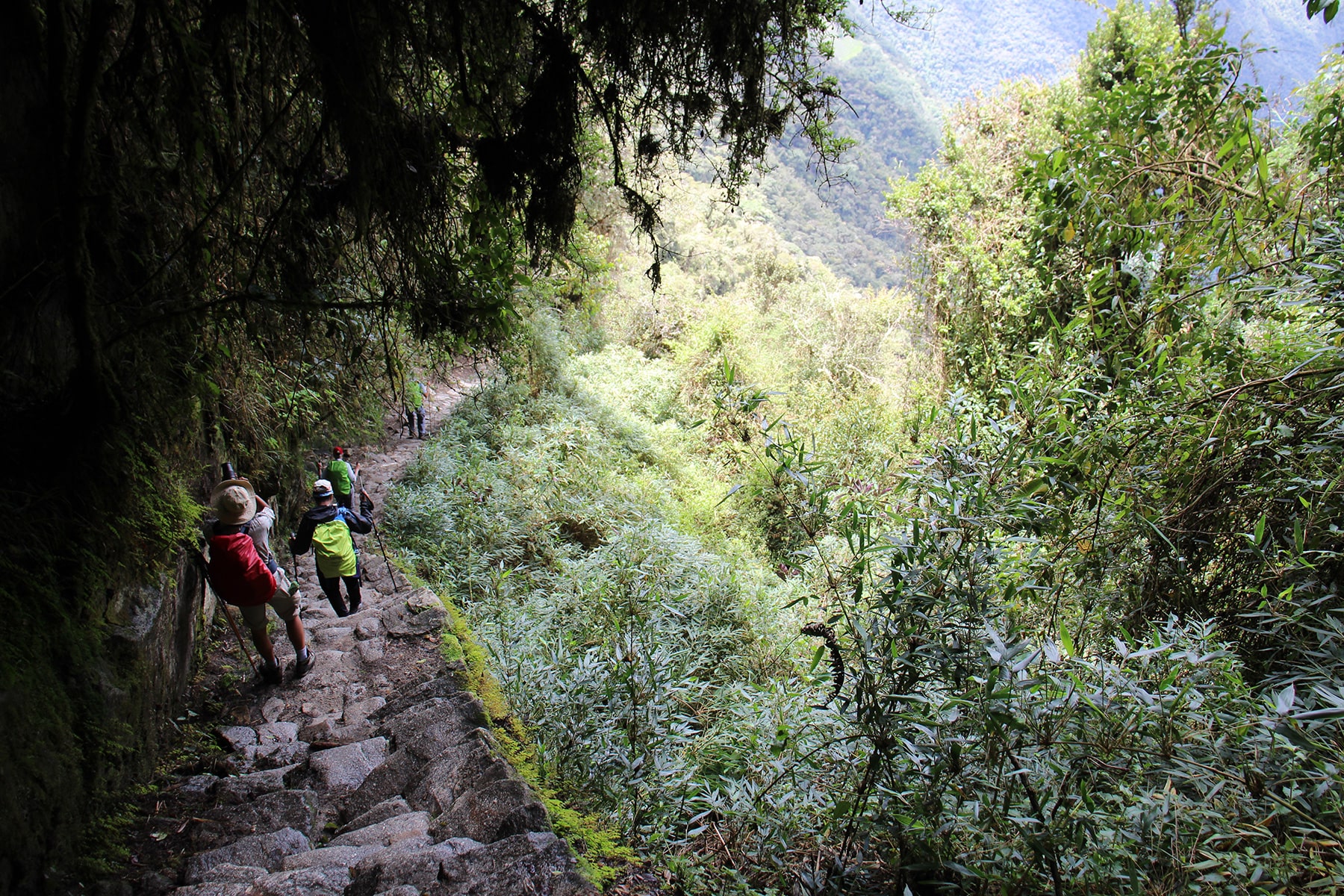 Sentier en pierre avec vue verdoyante inca trail
