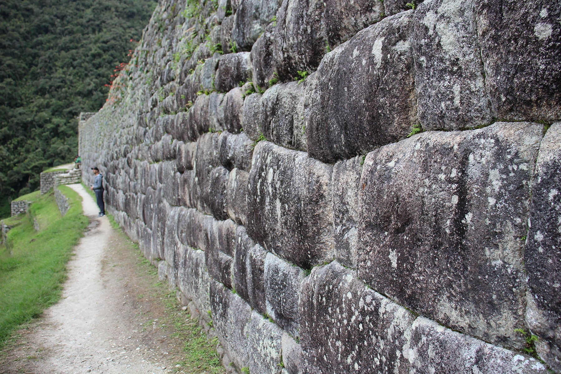 Muro di pietra nel sito di Wiñay Wayna