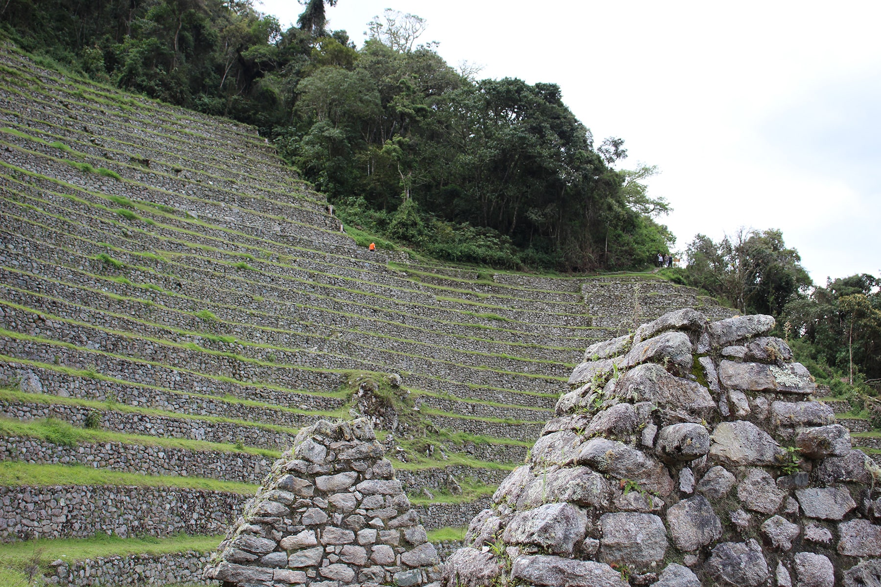 Wiñay wayna site terraces and roofs