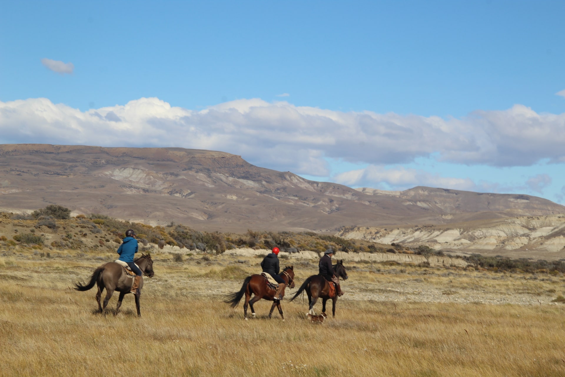 Promenade à cheval en Patagonie