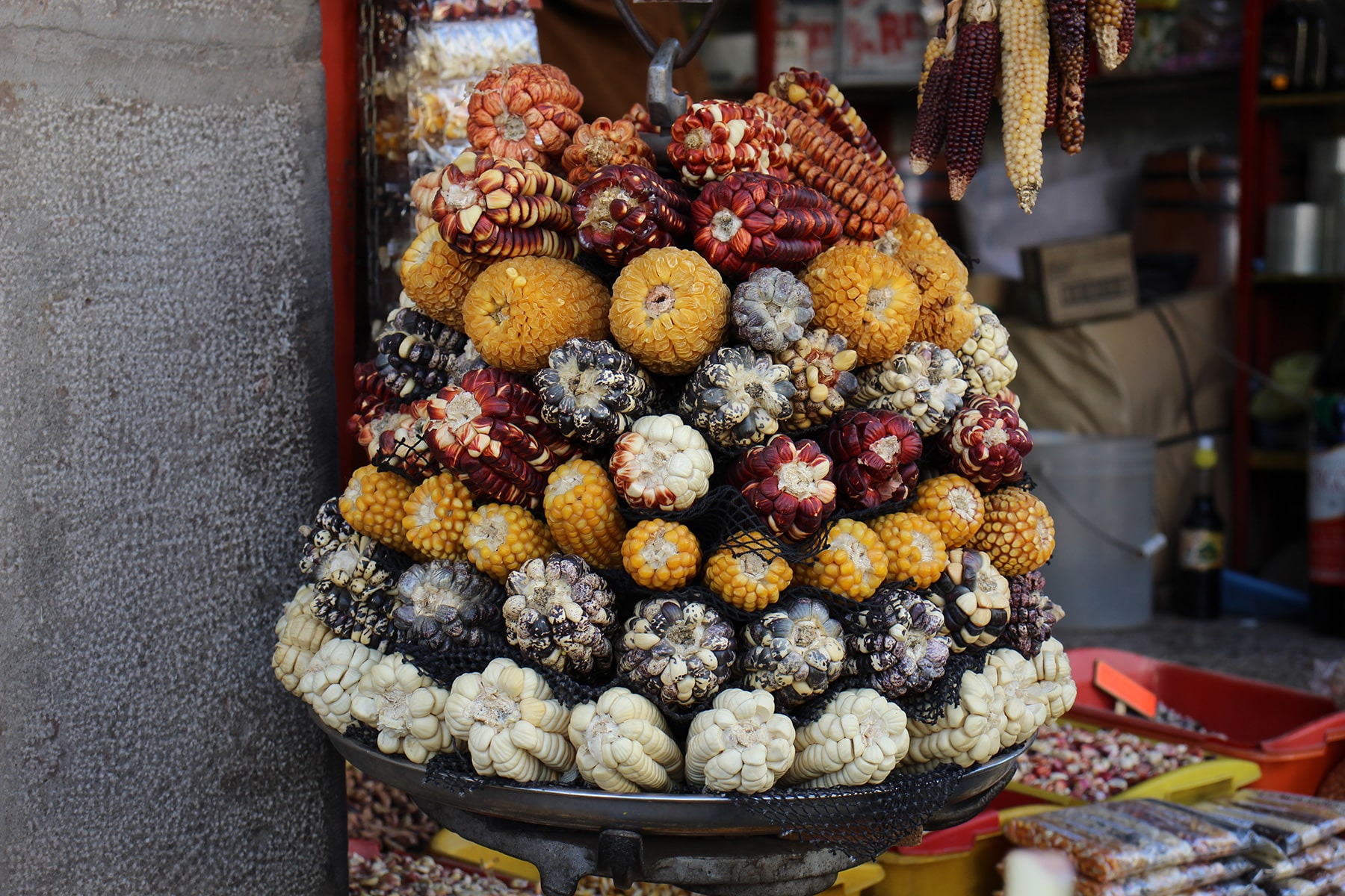 Types of colourful corn