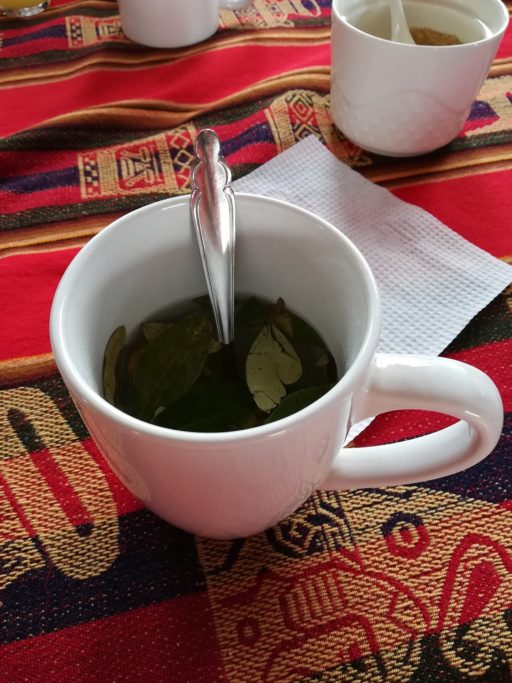 Tea with coca leaves