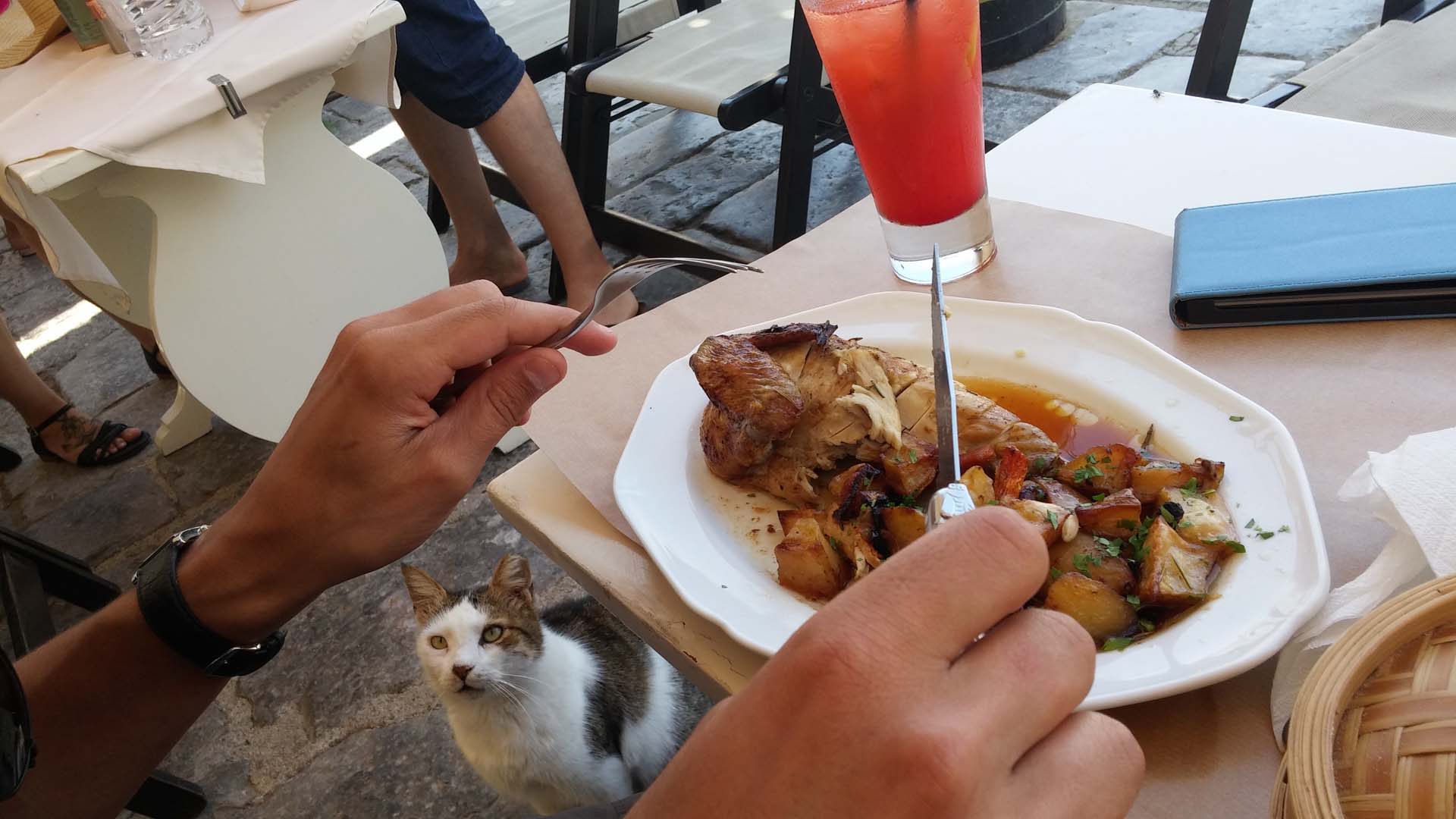 Uomo mangia pranzo pollo sull'isola di Idra circondati da gatti affamati che lo guardano