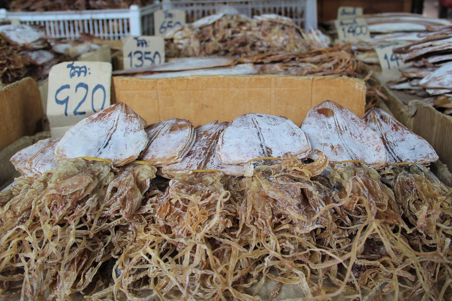 Seppie essiccate in vendita a China Town, Bangkok