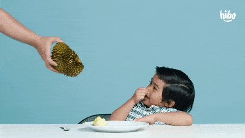 stinky durian
